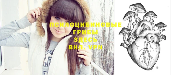 молекула духа Волоколамск