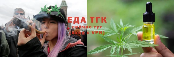 молекула духа Волоколамск
