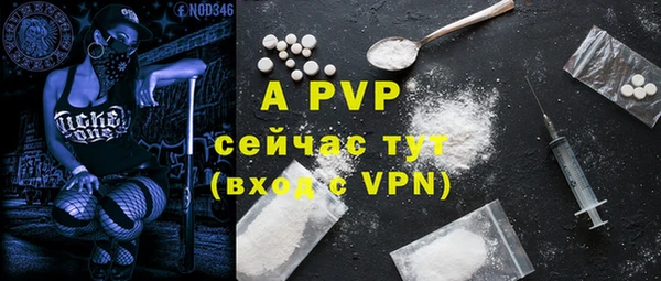 молекула духа Волоколамск
