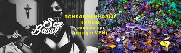 mdpv Волосово